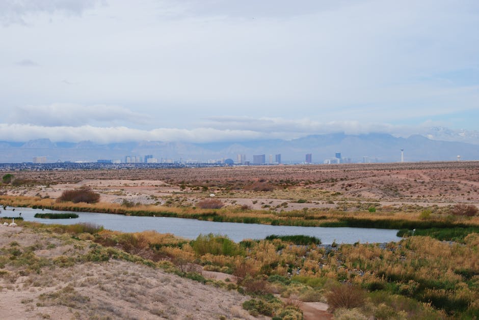 vasectomy price henderson nv